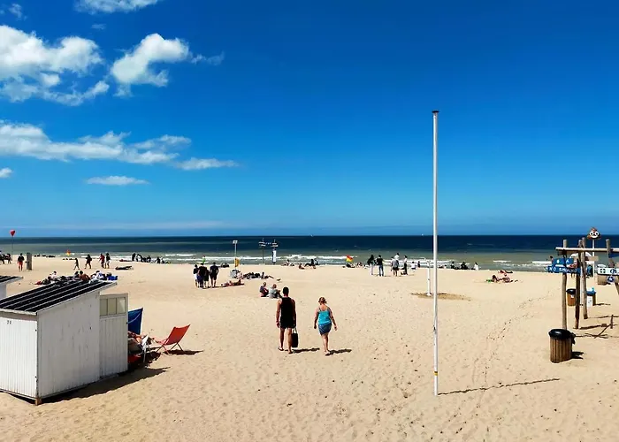 Apartment Gorgeous In