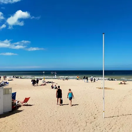 Appartement Gorgeous In